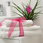 The Apartman *